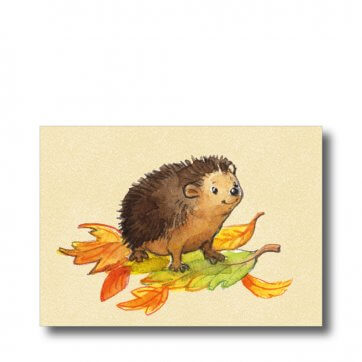 Postkarte "Igel". Man sieht einem Igel auf ein paar bunten Blättern.